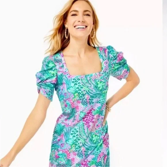 Lilly Pulitzer Elyn Dress - Picture 1 of 4